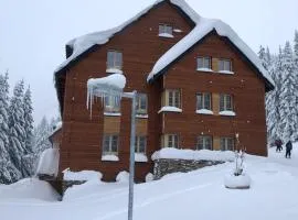 Apartmán Horní Mísečky J4