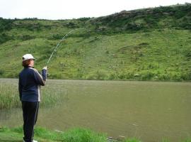 MacFarlanes, hotell sihtkohas Harrismith huviväärsuse Pais Sterkfontein lähedal