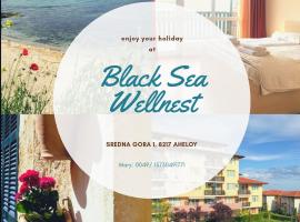 Black Sea Wellnest, ваканционно жилище на плажа в Ахелой