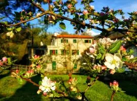 B&B Tre Ponti
