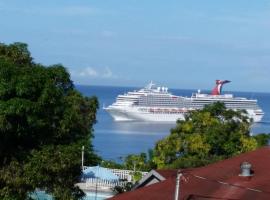 Ocean View Montego Bay Apartment