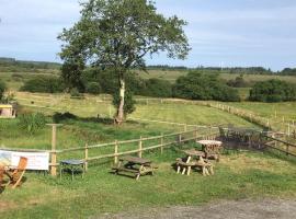 Rhydgaled, farm stay in Llanon