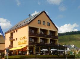 Hotel Zum Fährturm, hotell sihtkohas Mehring