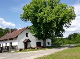 Penzion Starobor