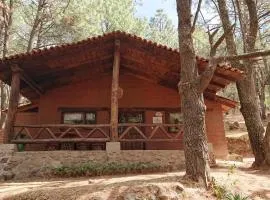 Cabañas Tapalpa Sierra del Tecuan, Cabaña Lince