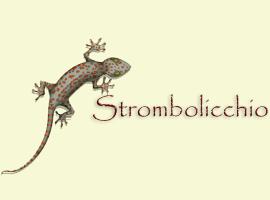 스트롬볼리에 위치한 호텔 Strombolicchio