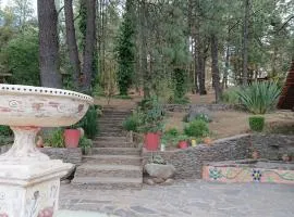Cabañas Tapalpa Sierra del Tecuan, Cabaña Conejo