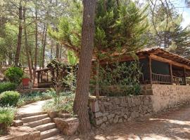 Cabañas Tapalpa Sierra del Tecuan, Cabaña Coyote, hotel in Tapalpa