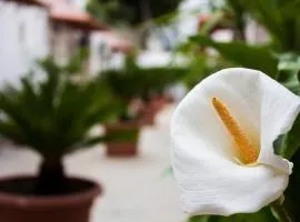 i giardini di edicart