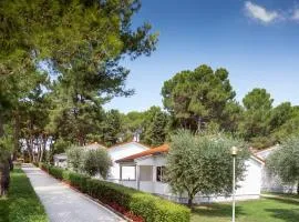 Apartments Galijot Plava Laguna