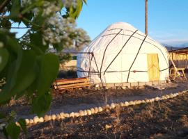 Yurt camp Sonun, campsite in Bokonbayevo