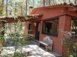 Cabañas tapalpa Sierra del Tecuan, Cabaña Tejón