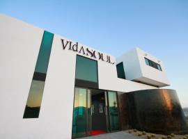 Vidasoul, Hotel in Boca de la Vinorama