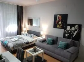 Contemporary Residence