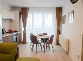 Paul's place. New rooftop apartment in Downtown Sibiu