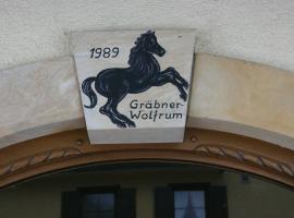 Gasthof Hotel Schwarzes Roß, בית הארחה בבאד ברנק אם פיכטלגבירגה