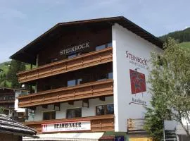 Appartements Steinbock - Ski-In & Ski-Out