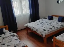 Nijona 1