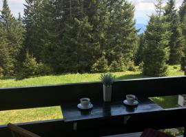 Apartment Gaber 82, viešbutis mieste Zrečės