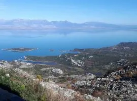 Livari Viewpoint