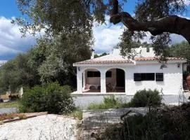 Lilly - Lovely small Villa among Olive Trees