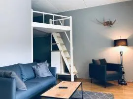 Kamppi City Apartment, Free parking