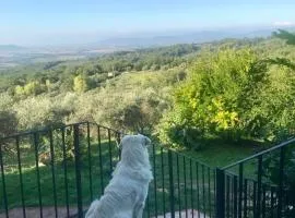 Agriturismo Campo al Crognolo