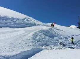 Le Skisud T3 sur les pistes - Puy St Vincent 1800 Massif de Ecrins