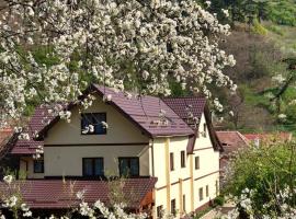 Pensiunea Domnescu, hotel Szelistyén