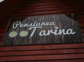 Pensiunea Tarina