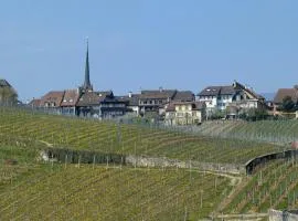 Cave du Cep