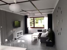 Luxury Living Apartment, apartament din Kněževes