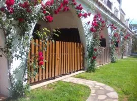 Apartamentos Alcossebre "El Faro Apartaments Alcossebre" Piscina, Playa y diversión