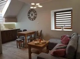 Apartament Komarno II
