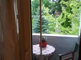Vila Kraljica Vrdnik