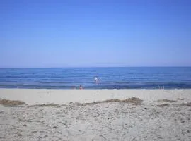 gîtes de corse