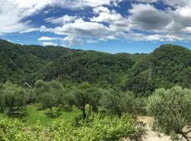 Caddelovi