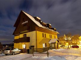 Schneeberg Apartmany, skihotel i Boží Dar
