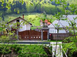 Gospodaria Lui Nea Ion, country house in Vama Buzăului