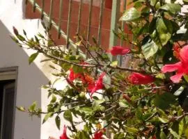 CASALE HIBISCUS