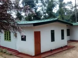 Tree House Holiday Home