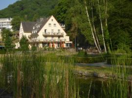 Hotel Alte Mühle, hotel v destinaci Bad Bertrich