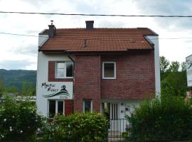 Mystic River Design Hostel, hostel in Bajina Bašta