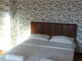 Комнаты рядом с автовокзалом, homestay in Uzhhorod