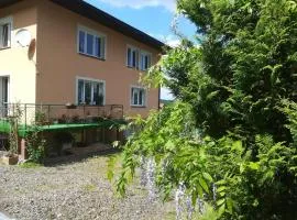 Noclegi pod lasem Solina 20