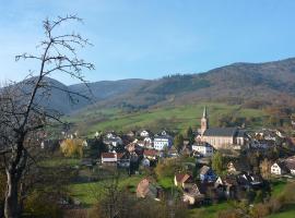 Gîte Schlitteur Et Sapiniere, hotel en Breitenbach