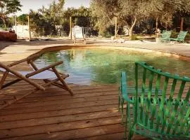 Muchnik - Arava Desert lodge