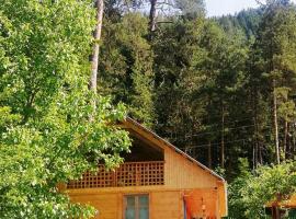 Guest House Ilia, cabin in Borjomi