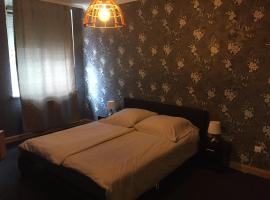 Viktor, hotel v destinaci Pirmasens