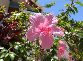 Pension Hibiscus, guest house in La Digue